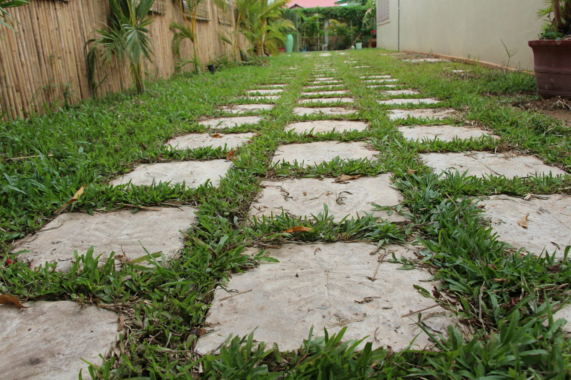 Areca Stay Siem Reap Exterior foto